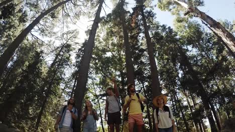 Jóvenes-Amigos-En-Una-Caminata