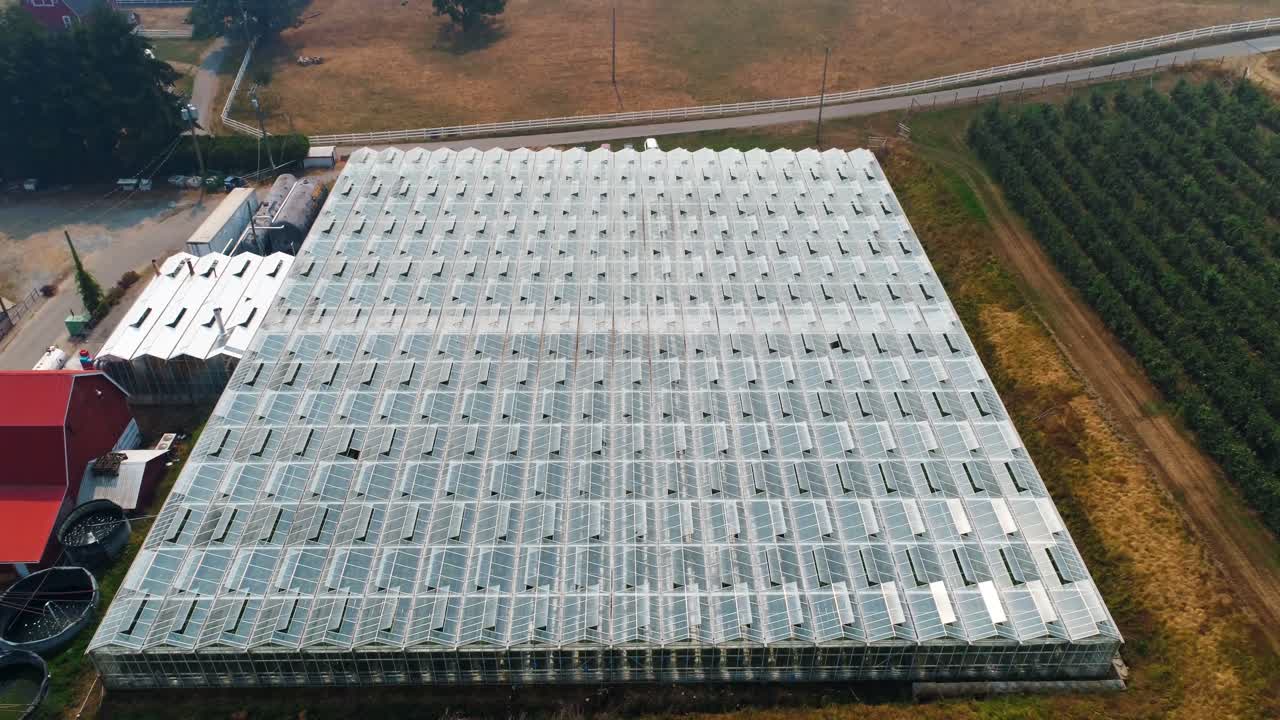 granja verde cubierta con vidrio en el techo 4k