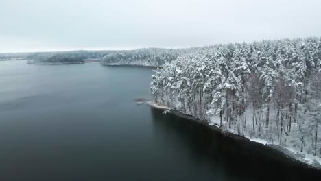 aerial-shot-of-the-frosty-lake-surrounded-by-snow-covered-pine-tree-forest-in-the-middle-of-winter