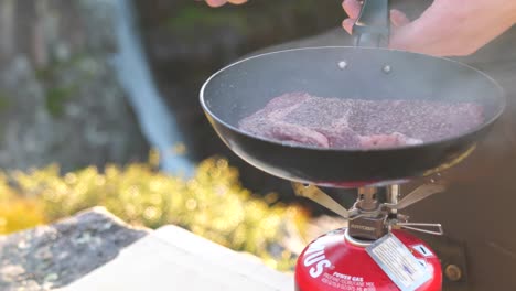 toma en ángulo medio alto de entrecot de costilla de primera cocinado y asado al aire libre en una sartén caliente, en un ambiente de campamento, con la cascada njupeskär al fondo