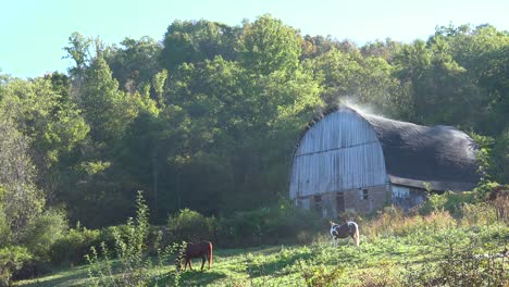 Vapor-Saliendo-De-Un-Antiguo-Granero-Con-Caballos-En-Primer-Plano-En-El-Campo