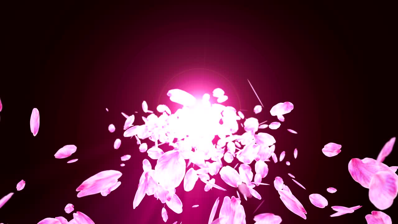 체리 꽃의 회전, cg 애니메이션, 루프 회전