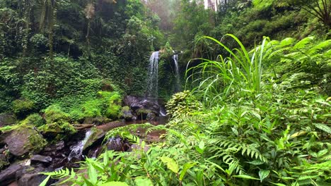 beautiful tropical twin waterfall in the middle of the forest