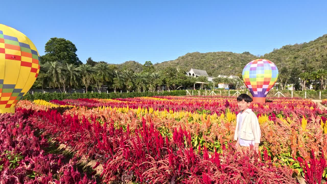 Menino explora campo de flores vibrantes com balões de ar quente decorativos em um dia ensolarado.
