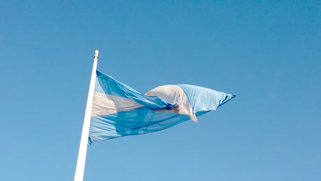 national flag of argentina flies in a wind on blue sky background