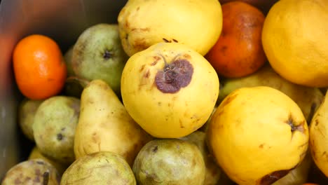assortment of fruit