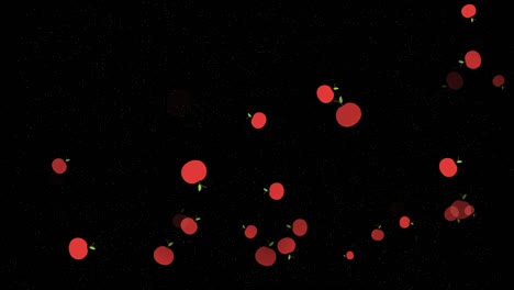 4k abstract loopable flying red apple on black background