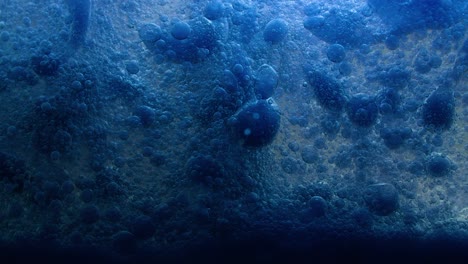 blue liquid background. macro shot of various air bubbles. slow mo.