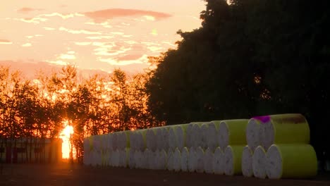 Manojos-De-Ensilajes-De-Algodón-Cosechado-Apilados-En-El-Campo-Al-Atardecer