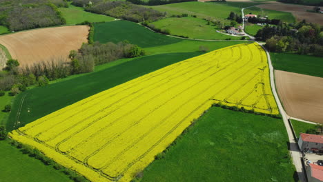 aerial view of rural farmland with different crops