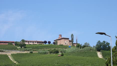 bird flies over scenic turin countryside landscape