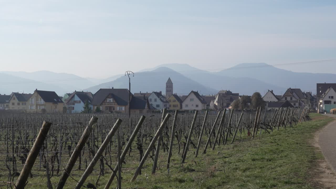 Vigneto in inverno vicino al villaggio di Kaysersberg, Francia.