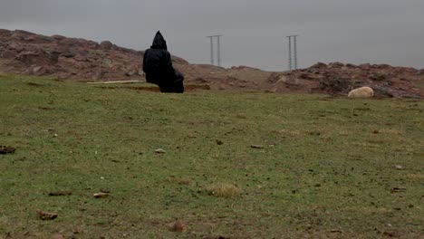 An-old-shepherd-watching-his-herd