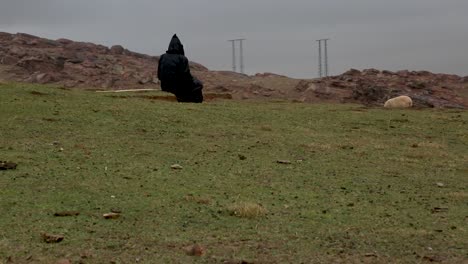 an old shepherd watching his herd