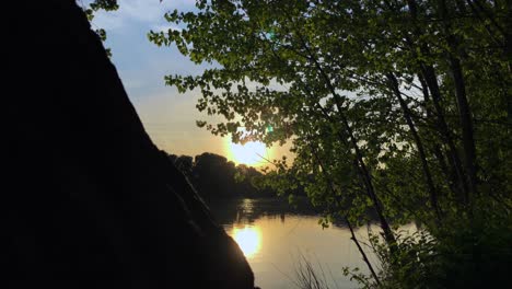 beautiful views of the forest at sunset by the river