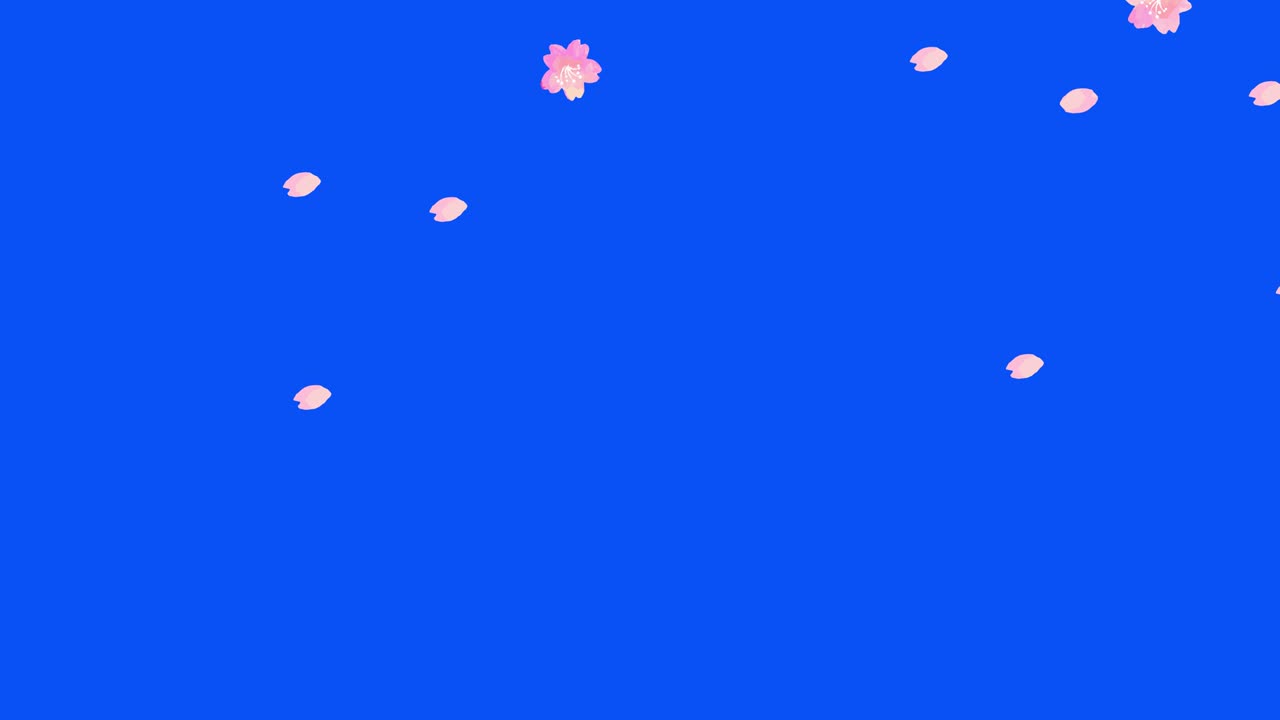 수채화 꽃과 잎자루 루프 애니메이션, 크로마 키