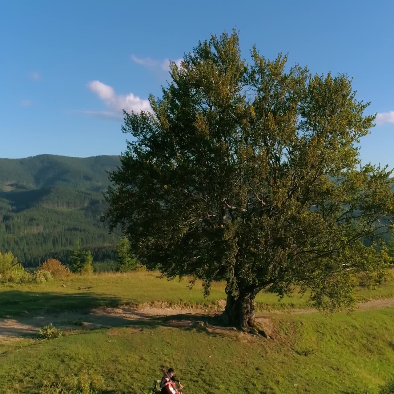 Musicista con violoncello in montagna. Splendido sfondo naturale verde sotto il cielo blu. Artista donna che esegue musica sotto l'albero verde. Vista aerea