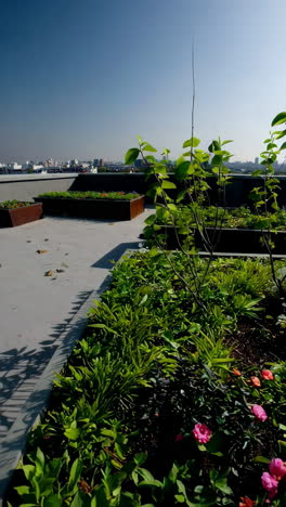 rooftop garden with city view