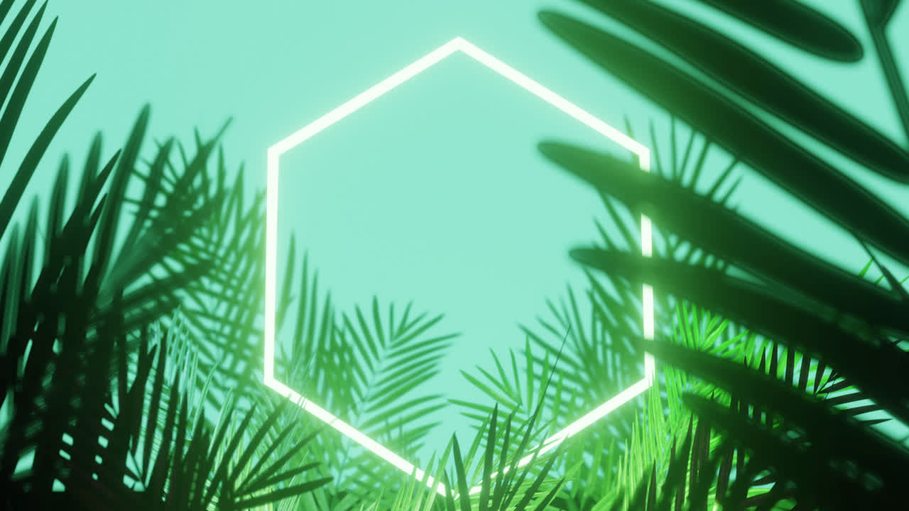 Animation of leaves over white neon hexagon on blue background