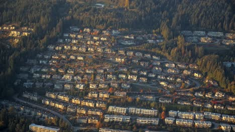 Häuser-Und-Wohngebäude-In-Einem-Waldgebiet---Antenne-Zur-Goldenen-Stunde