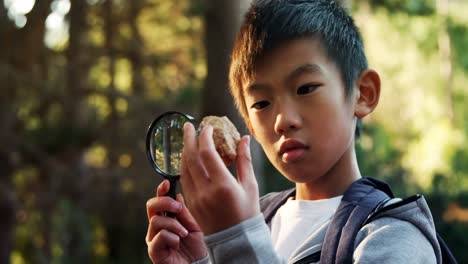 kid examining a rock in the forest 4k