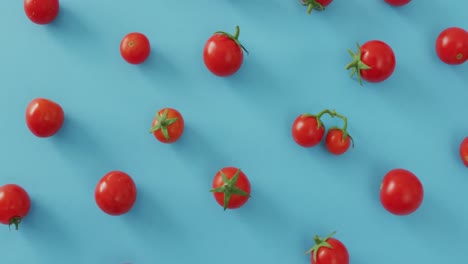 video of fresh cherry tomatoes on blue background