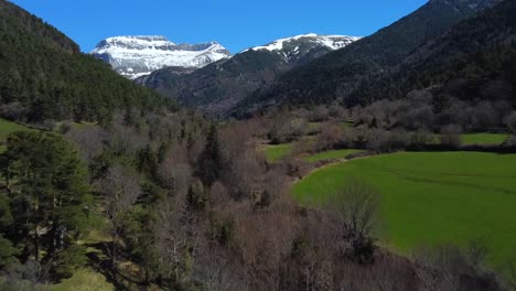 aerial view flying over the green fields towards the snowy mountains with a blue sky, in the spanish pyrenees