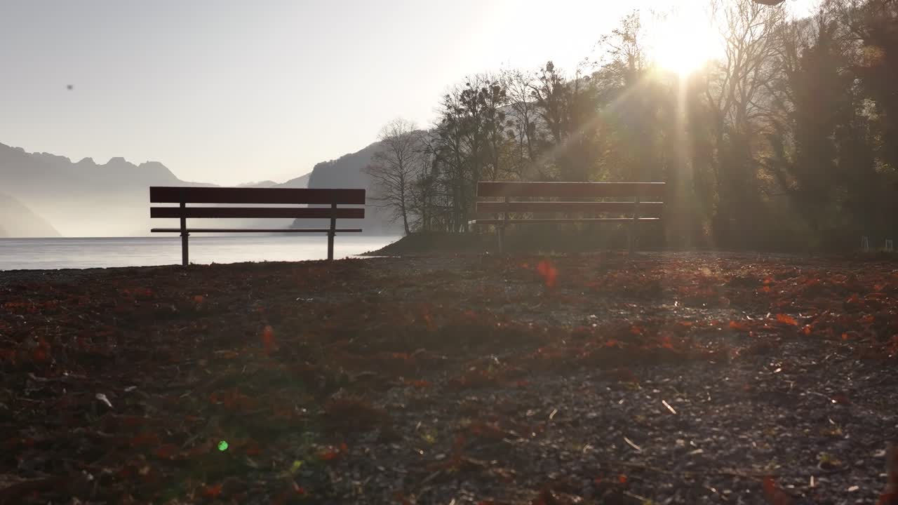스위스 발렌슈타트 (walenstadt) 에서 가을 잎과 나무로 둘러싸인 발렌세 (walensee) 에 있는 빛이 비치는 벤치