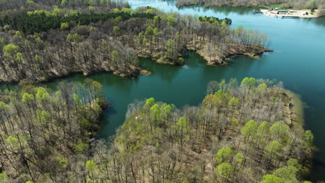 Lago-Glen-Springs-Y-árboles-En-El-Bosque-Durante-El-Día-En-Drummonds-En-Tennessee,-EE.UU.