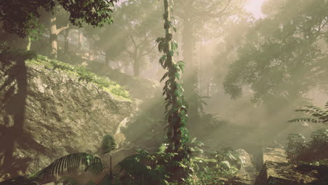 dense forest with sunlight filtering through trees in a tranquil environment