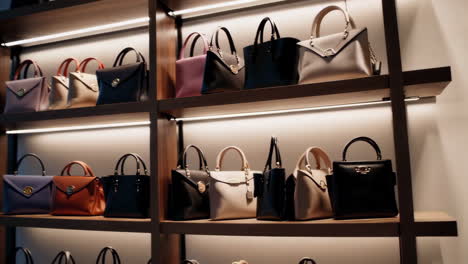 luxury handbags on illuminated display shelves in a boutique