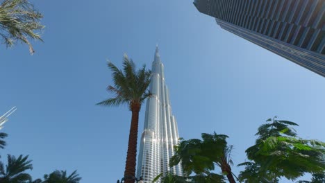 burj khalifa and palm trees in dubai