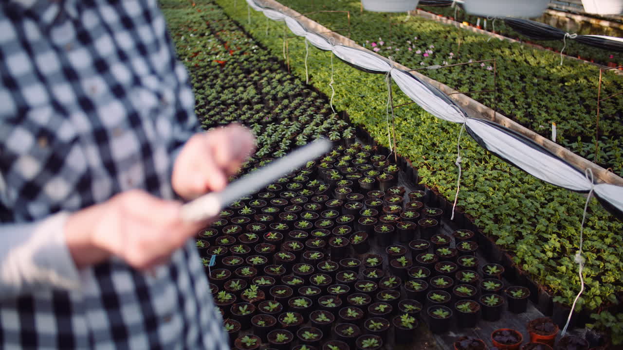jardinero usando tableta digital en el invernadero 1