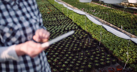 gardener using digital tablet at greenhouse 1