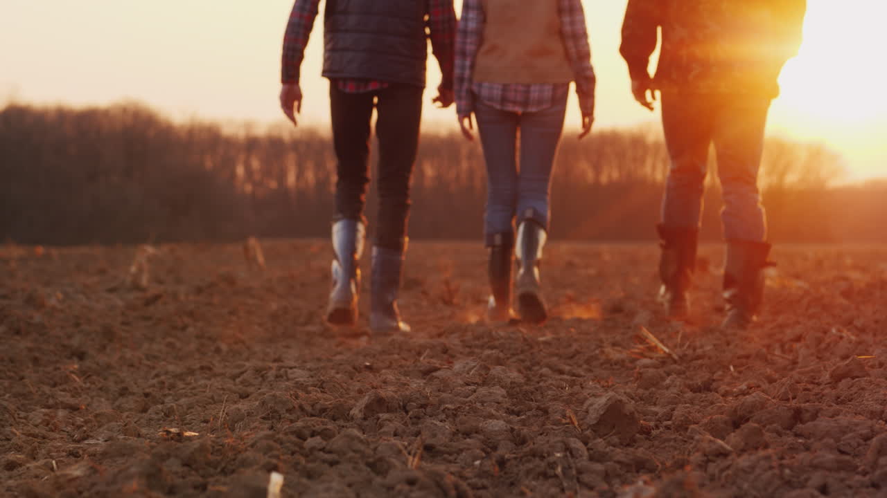한 팀의 농부들이 들판을 가로질러 떠오르는 태양 4k 비디오를 향해 나아갑니다