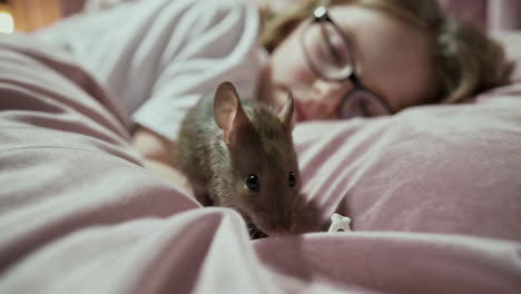 una chica durmiendo en la cama con un ratón.