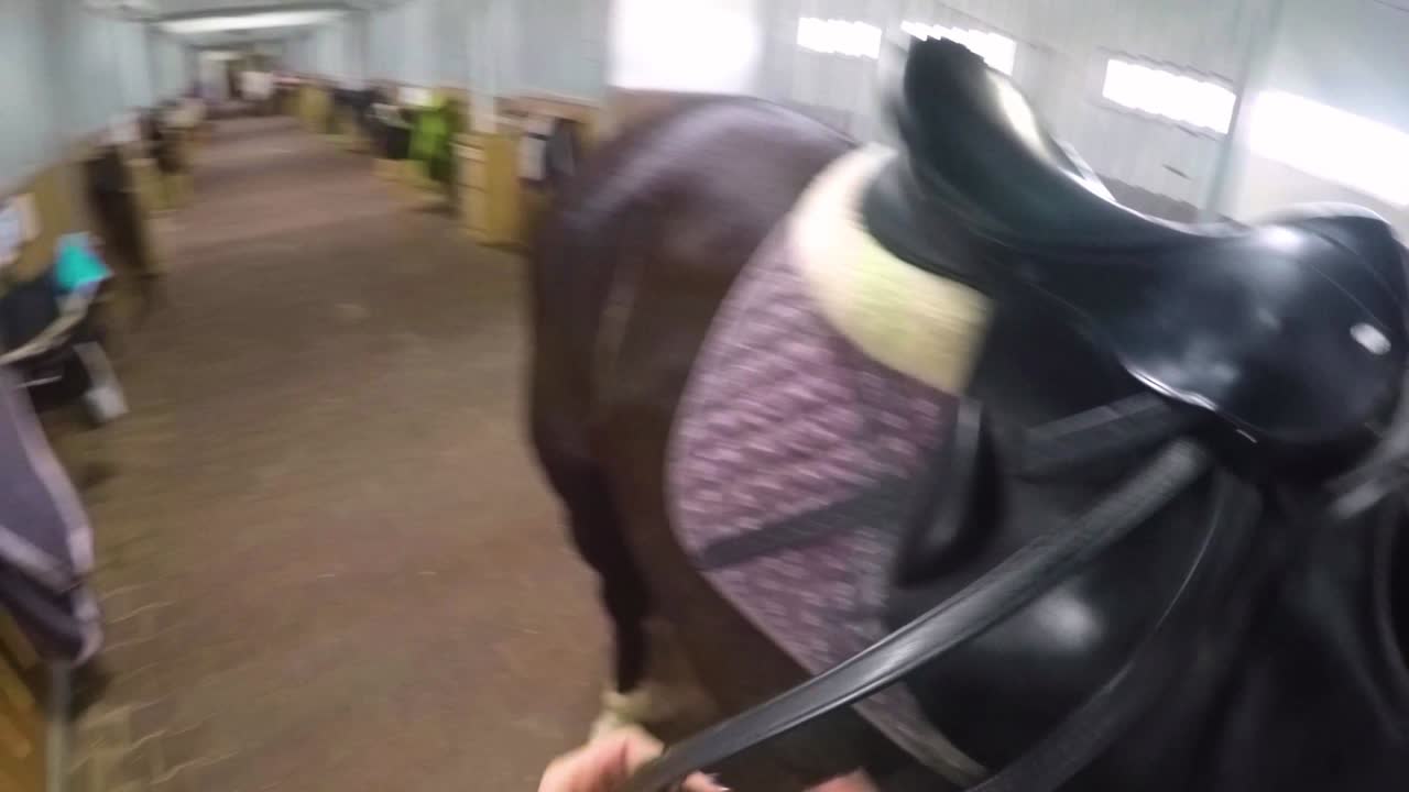 caballo en un establo