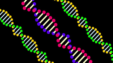 animation von farbenfroher dna, die sich auf schwarzem hintergrund dreht