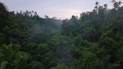 Drone-Aéreo-Hacia-Adelante-Sobre-La-Jungla-De-Ubud-En-Bali-En-Indonesia