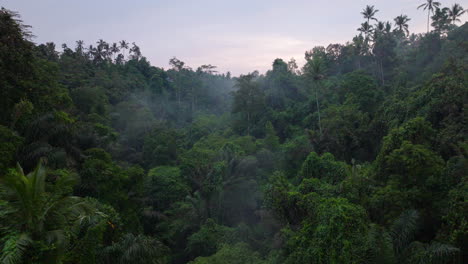 aerial drone forward over ubud jungle of bali in indonesia