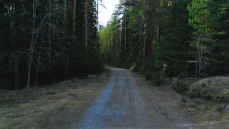 drone shot flying low on an empty gravel road in the woods in sweden