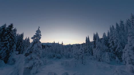 Vuelo-Aéreo-Cuesta-Arriba-Entre-Abetos-Cubiertos-De-Nieve-Que-Crecen-En-La-Montaña-Durante-El-Amanecer-En-Noruega---Vuelo-Fpv