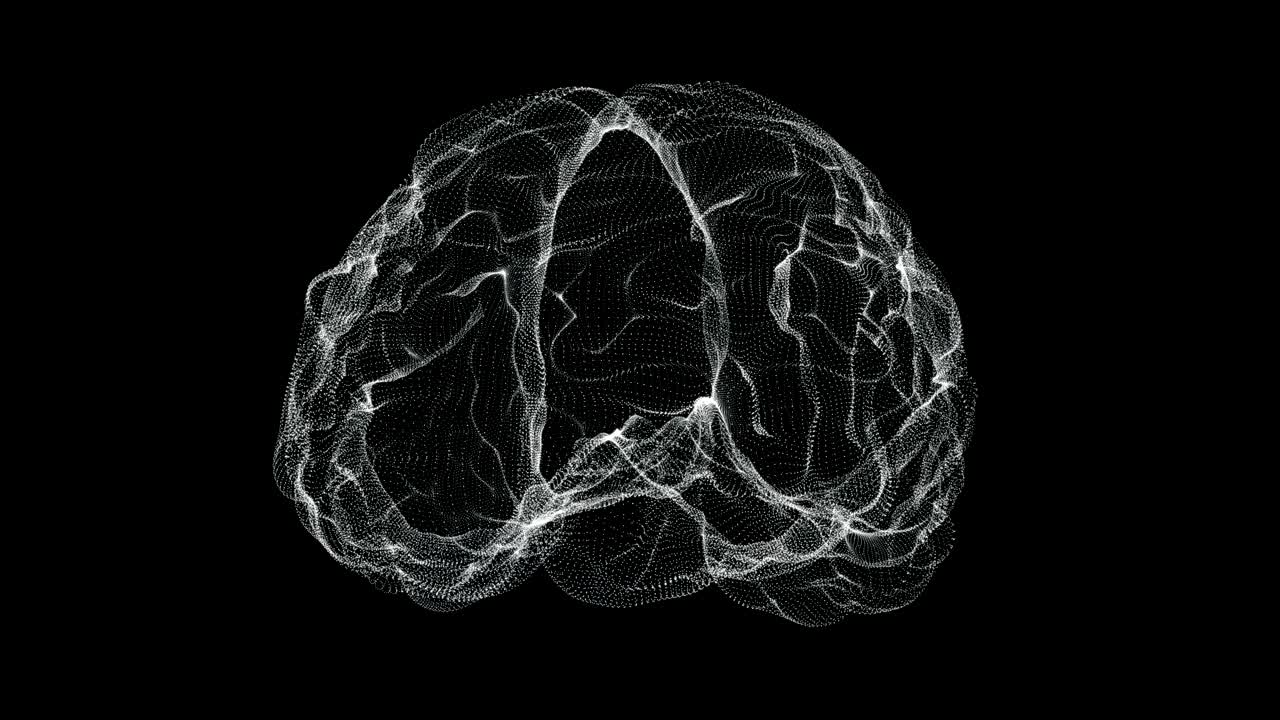 Hologram representation screen 3d of brain in the human body - loop