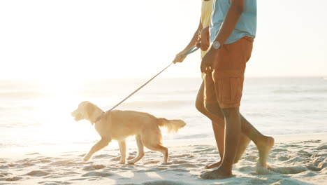 couple walking their dog on the beach at sunset