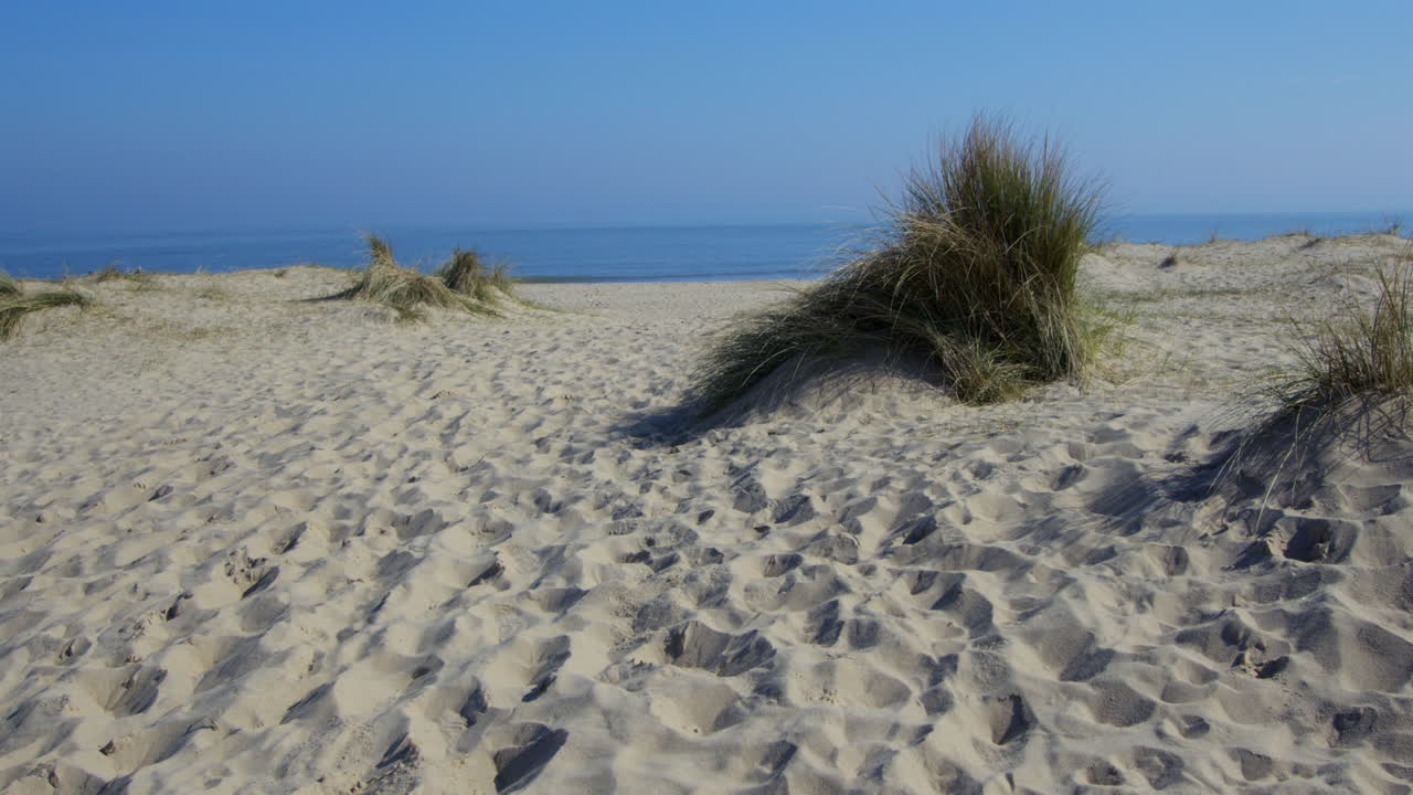 Show looking across the sand dunes at Horsey beach next to Winterton on Sea,