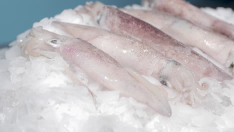 close-up of raw sea cuttlefish for sale at seafood market - slow motion, sideways