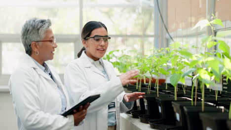 Invernadero,-Tableta-Y-Mujeres-Con-Ciencia-Ecológica