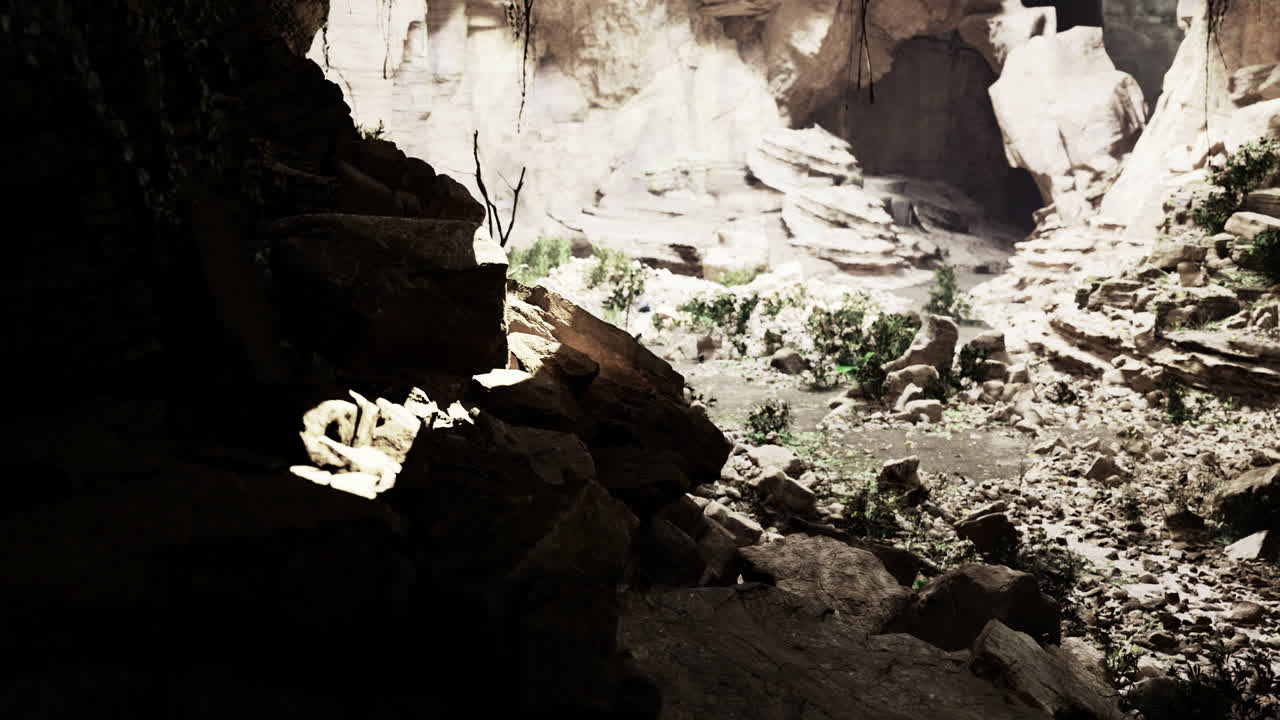 Mysterious canyon reveals sunlight illuminating rocky landscape and flora