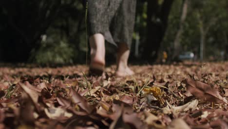 Mujer-No-Identificada-Vagando-En-El-Parque,-Tiro-De-ángulo-Bajo-En-Otoño