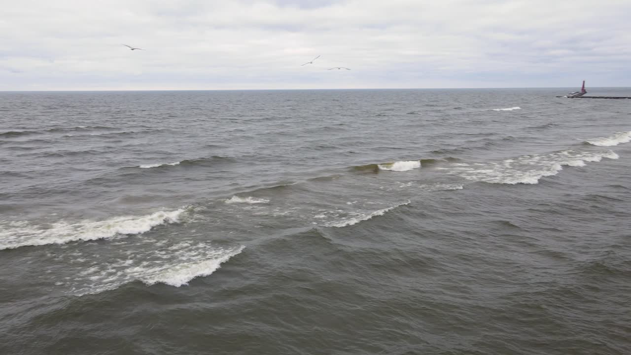 미주리 머스키곤의 페레 시장에서 날아가는 갈매기들